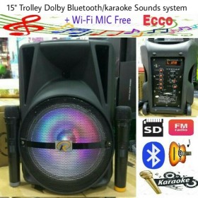 15" inch Dolby Troly speaker with KARAOKE/BLUETOOTH/SD/USB/FM/AMIPLY 80W/ECCO/2 WI-FI MIC